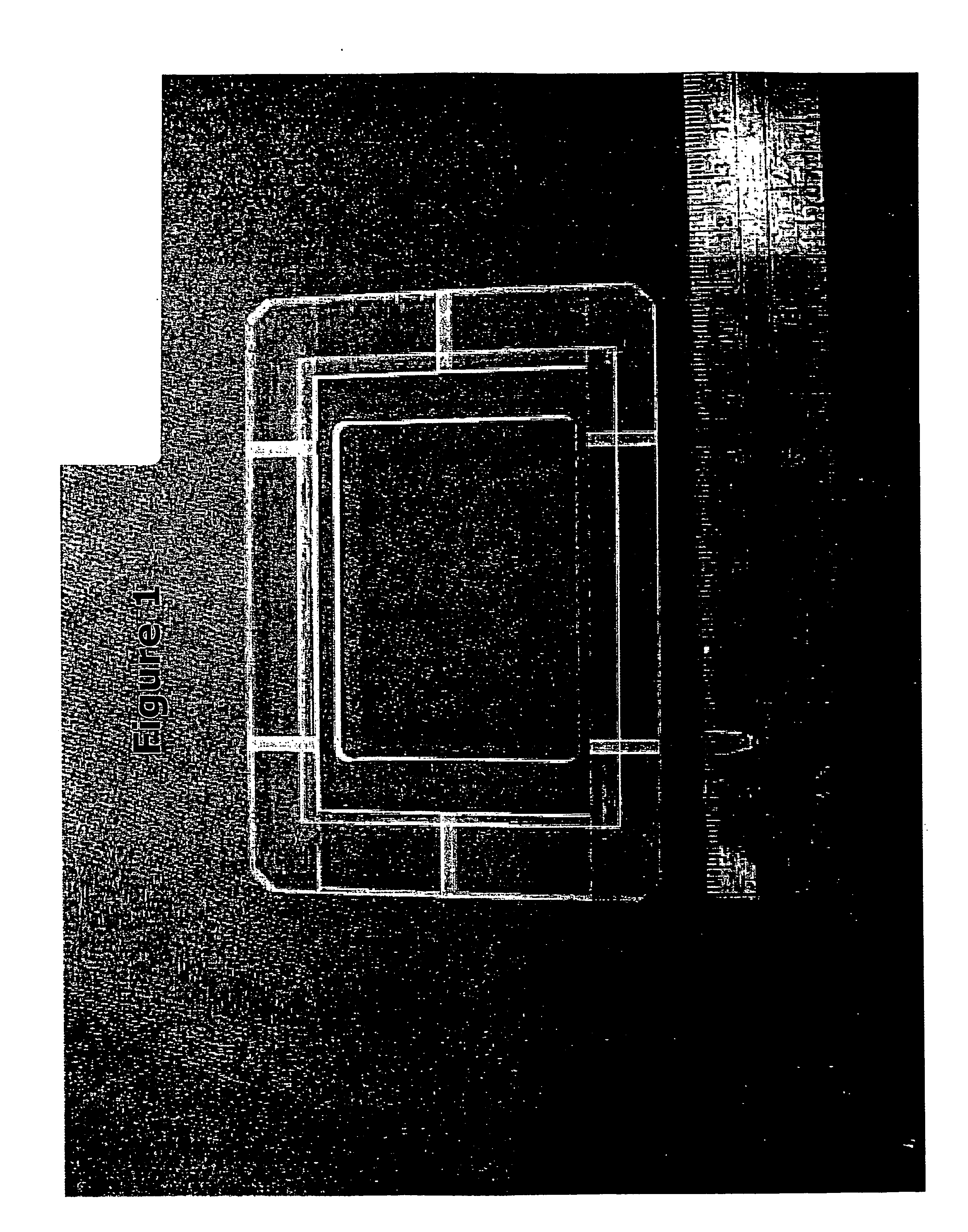 In vitro engineered, regenerated urinary tract tissue compositions and methods for producing same