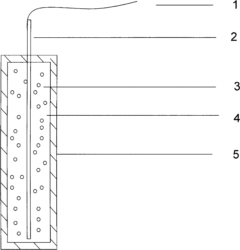 Enzyme fuel cell anode and preparation method thereof