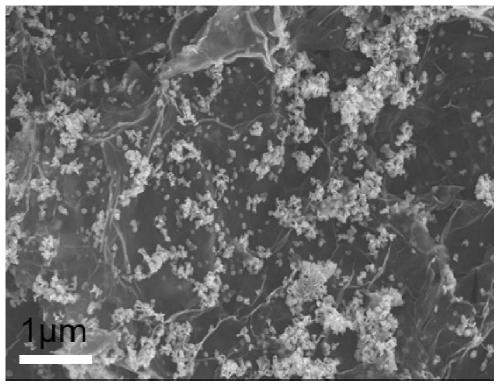 Manganese dioxide loaded nitrogen-sulfur double-doped graphene catalyst for oxygen reduction reaction, preparation method of manganese dioxide loaded nitrogen-sulfur double-doped graphene catalyst and application of manganese dioxide loaded nitrogen-sulfur double-doped graphene catalyst