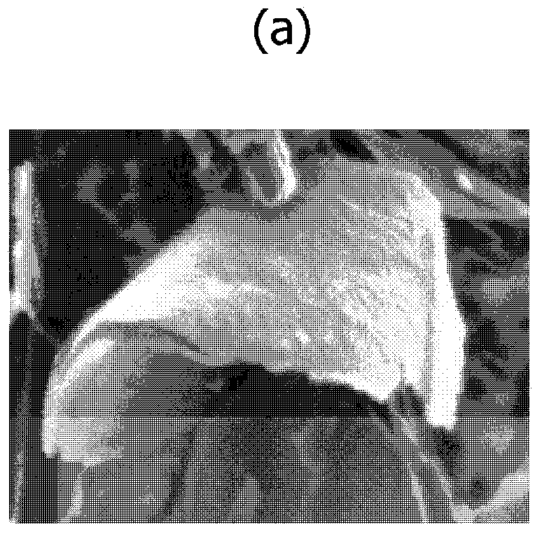 Carbon material for negative electrode of lithium ion secondary battery, and production method thereof