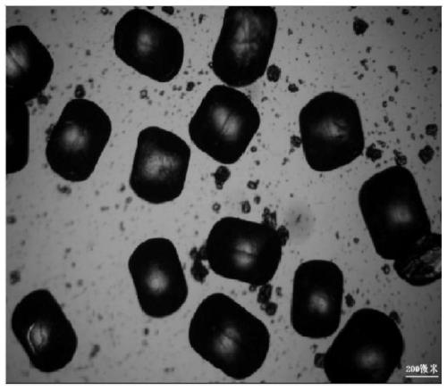 Preparation method of super-large particle hexanitrohexaazaisowurtzitane