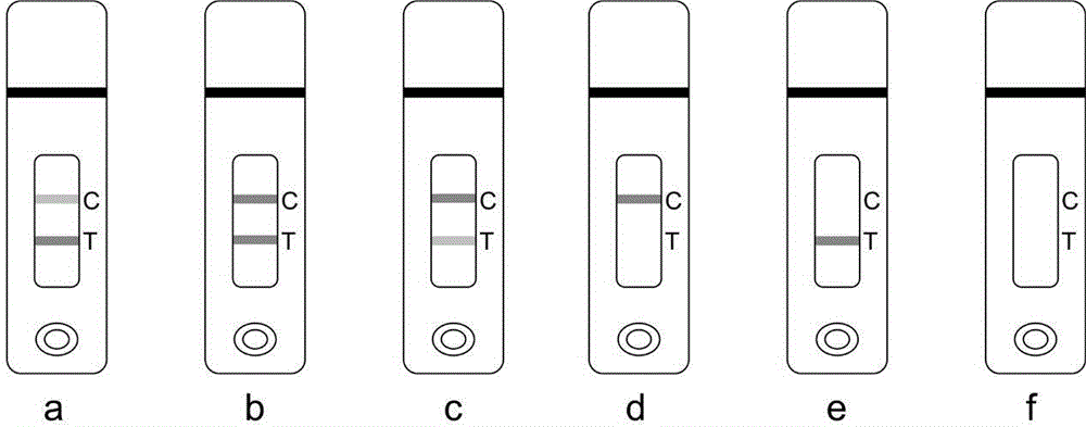 Test strip for detecting iprodione and preparation method and application of test strip