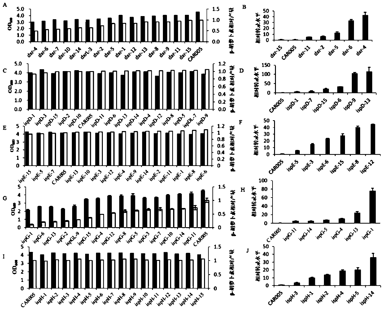 Construction method and application of a recombinant bacterium producing lycopene