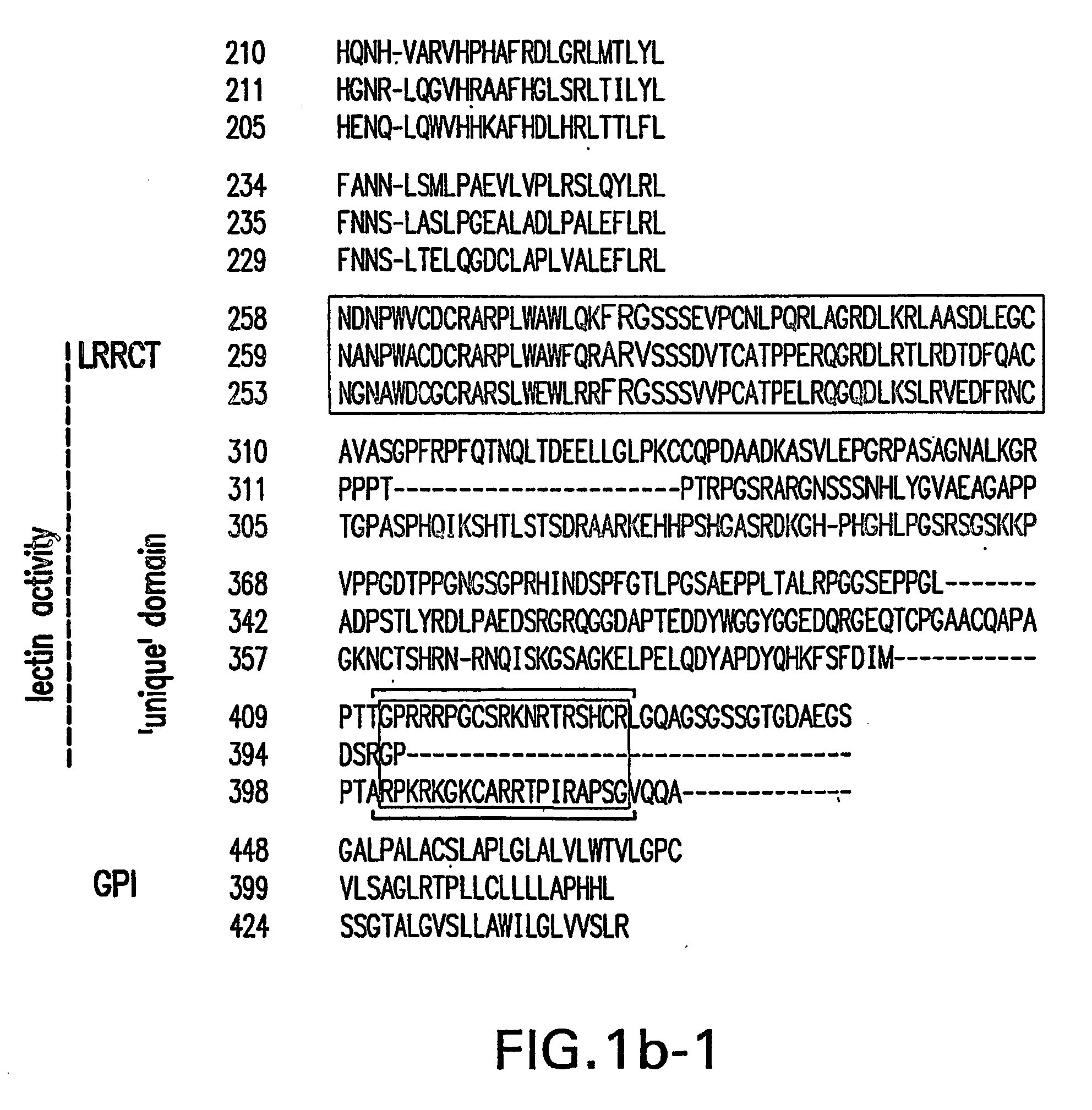 Identification of novel nogo-receptors and methods related thereto