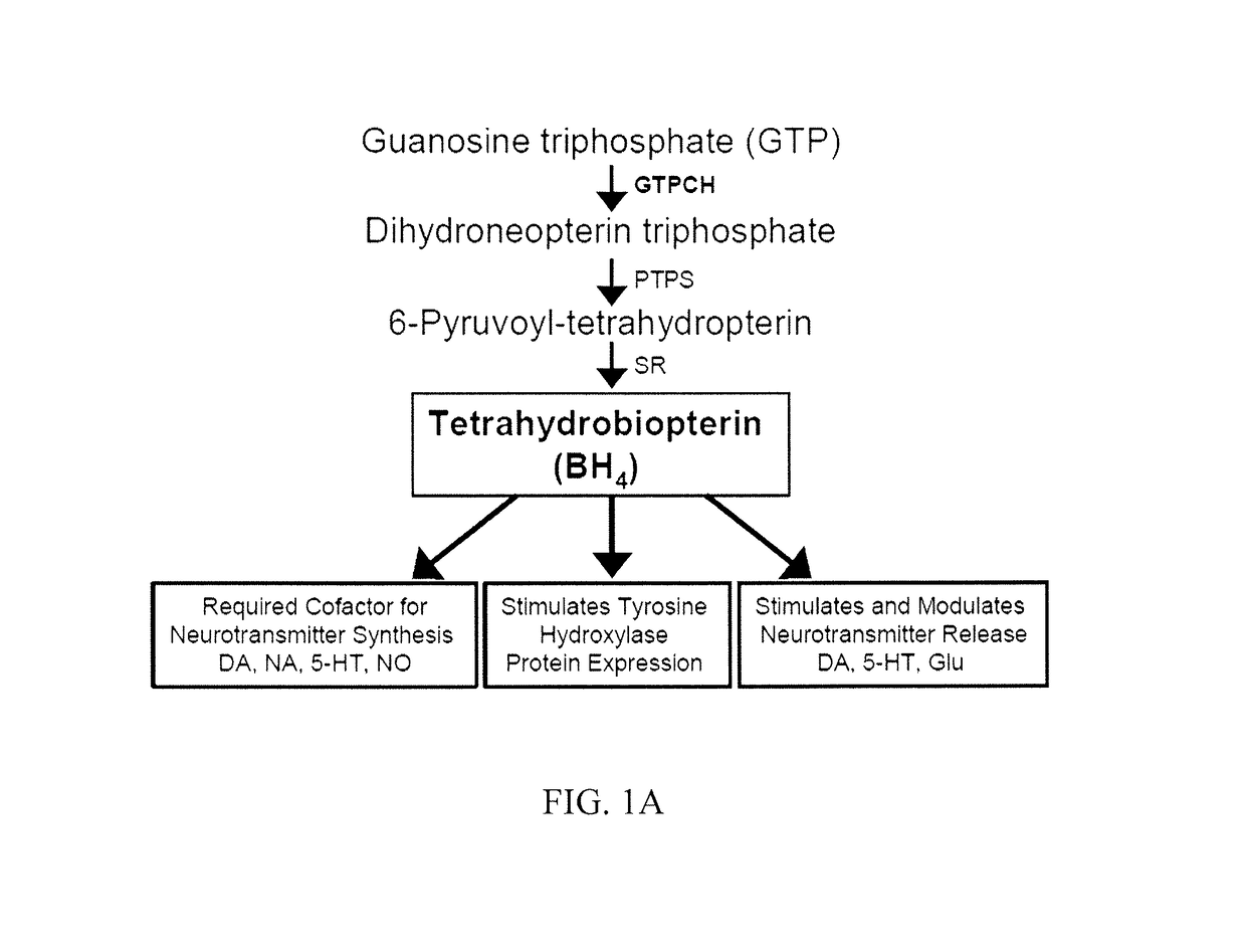 System and method for diagnosis and treatment of neuropsychiatric disorders