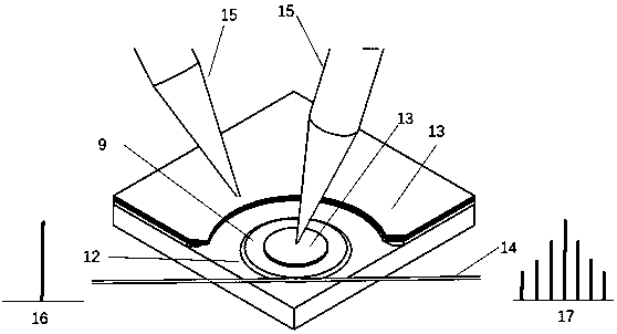 Adjustable optical frequency comb based on lithium niobate microcavity and preparation method thereof