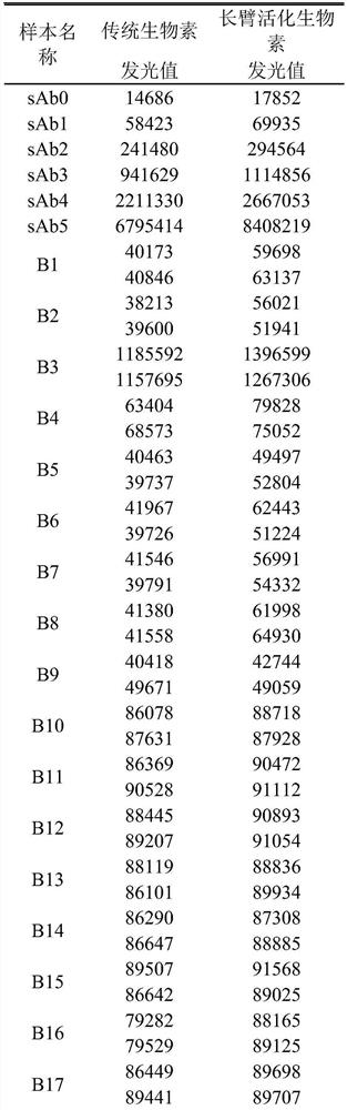 Long-arm activated biotin molecular marker antigen as well as preparation method and application thereof