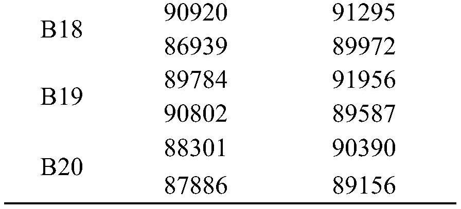 Long-arm activated biotin molecular marker antigen as well as preparation method and application thereof