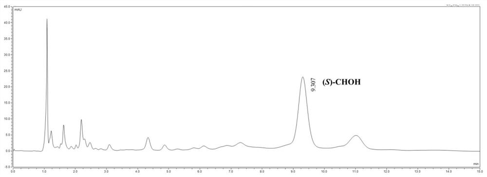 Carbonyl reductase mutant and application thereof in preparation of rosuvastatin chiral intermediate