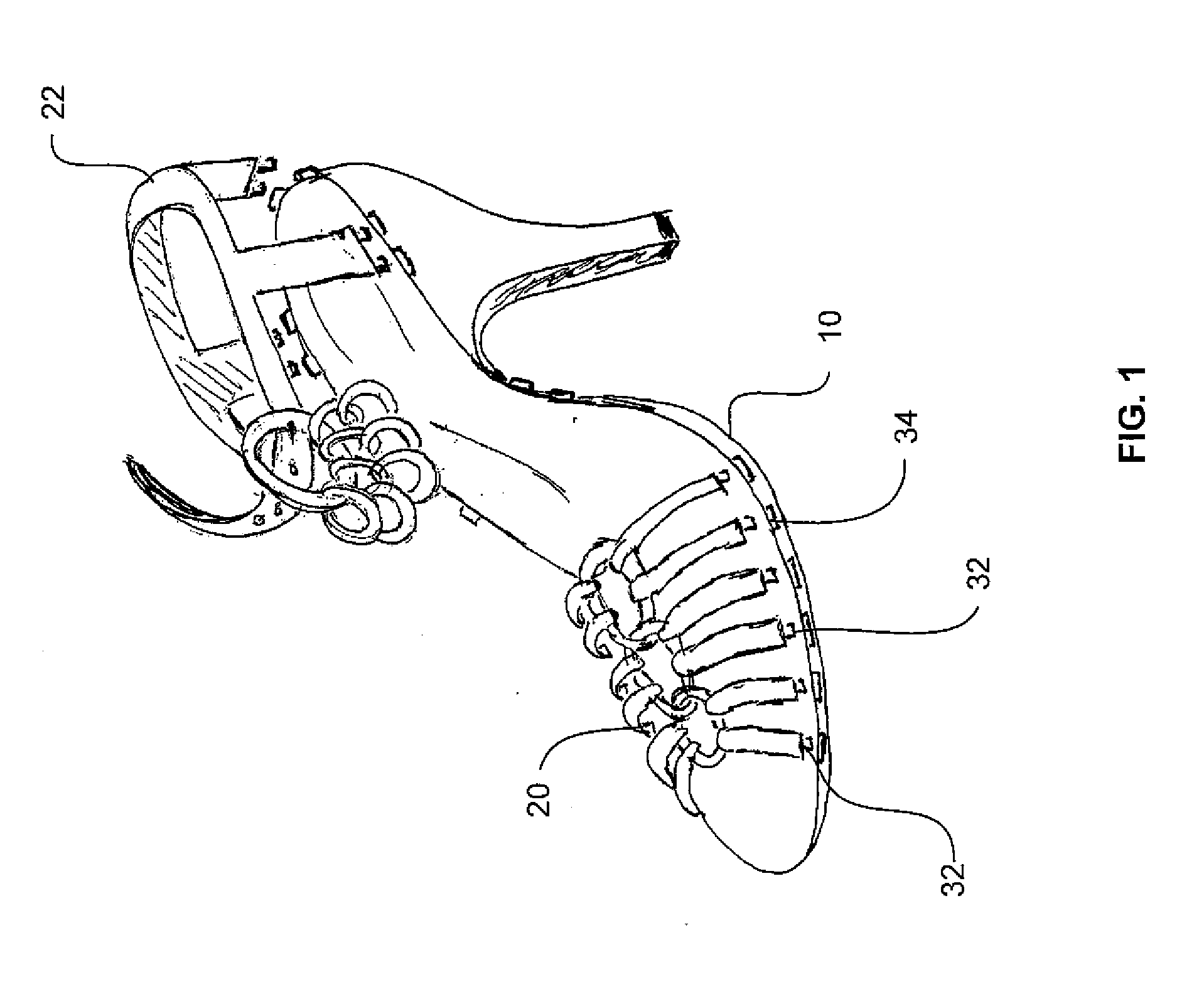 Modular Shoe Apparatus