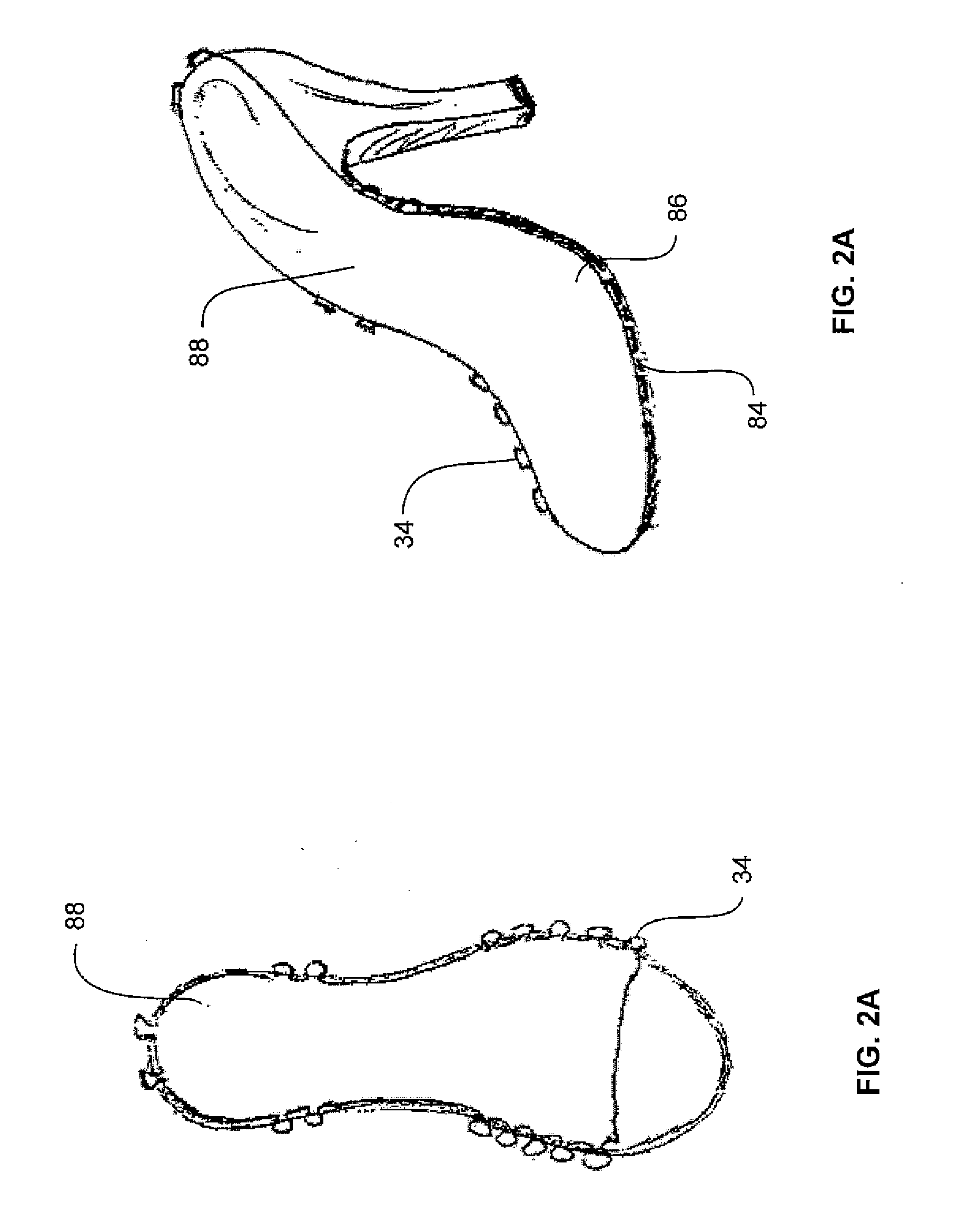Modular Shoe Apparatus