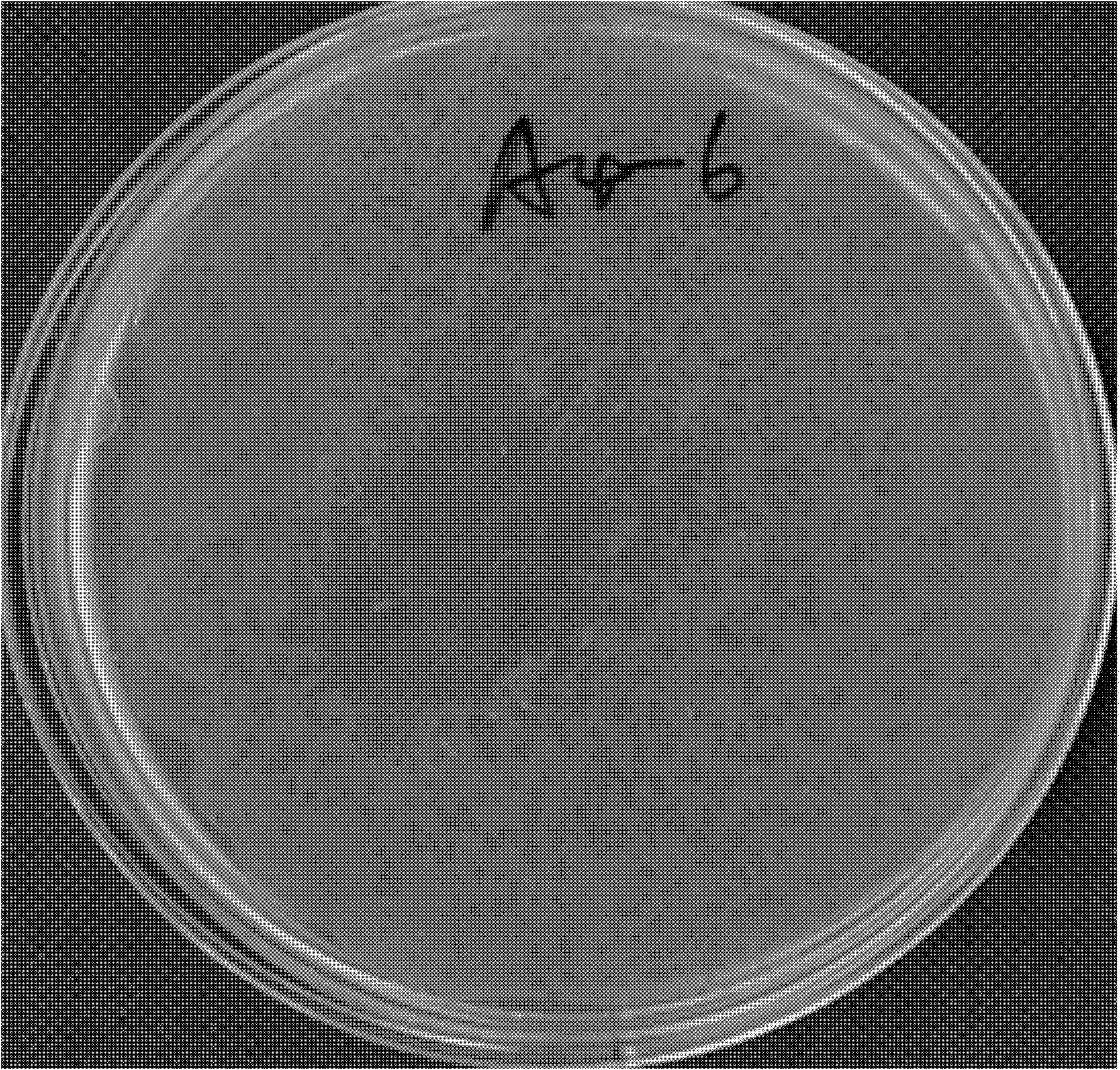 Artificially-synthesized G4 phage and applications thereof