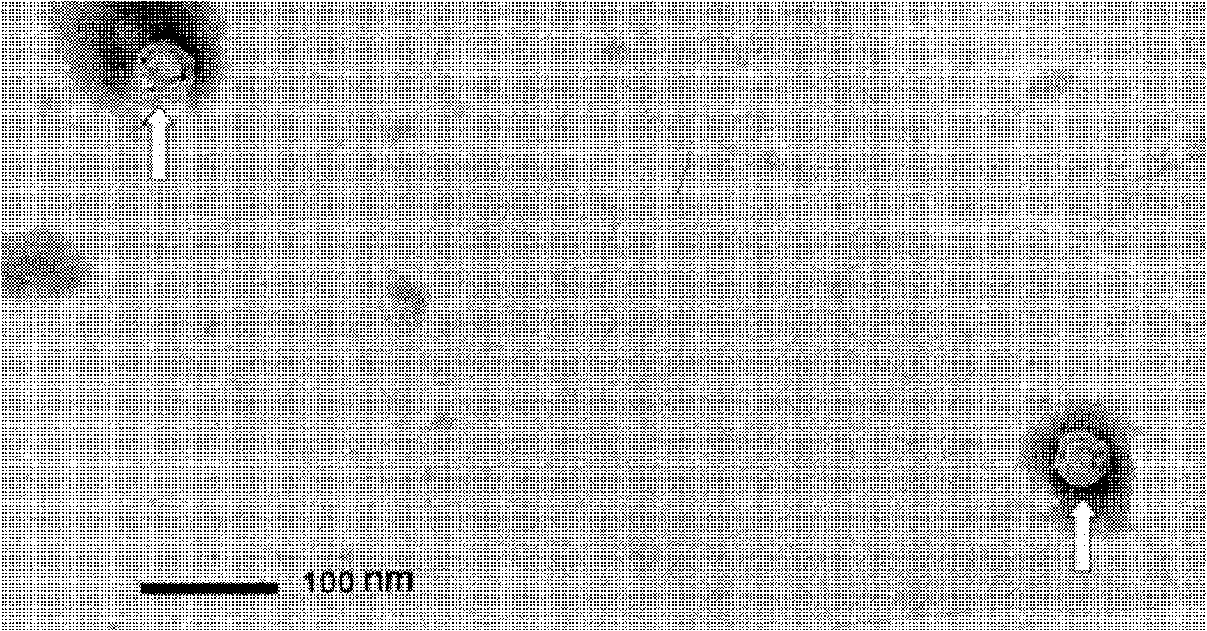 Artificially-synthesized G4 phage and applications thereof