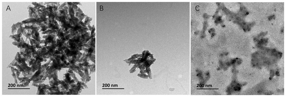 A method for constructing bone morphogenetic protein sustained-release system