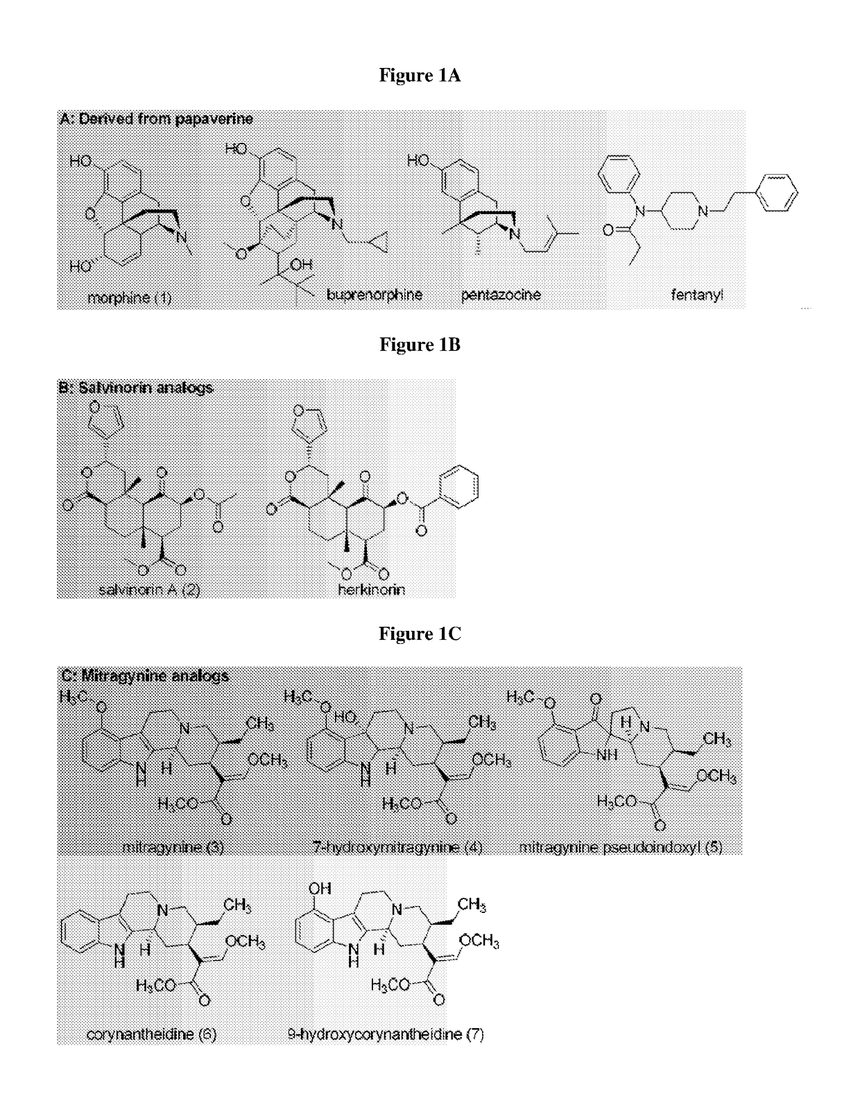 Mitragynine analogs and uses thereof