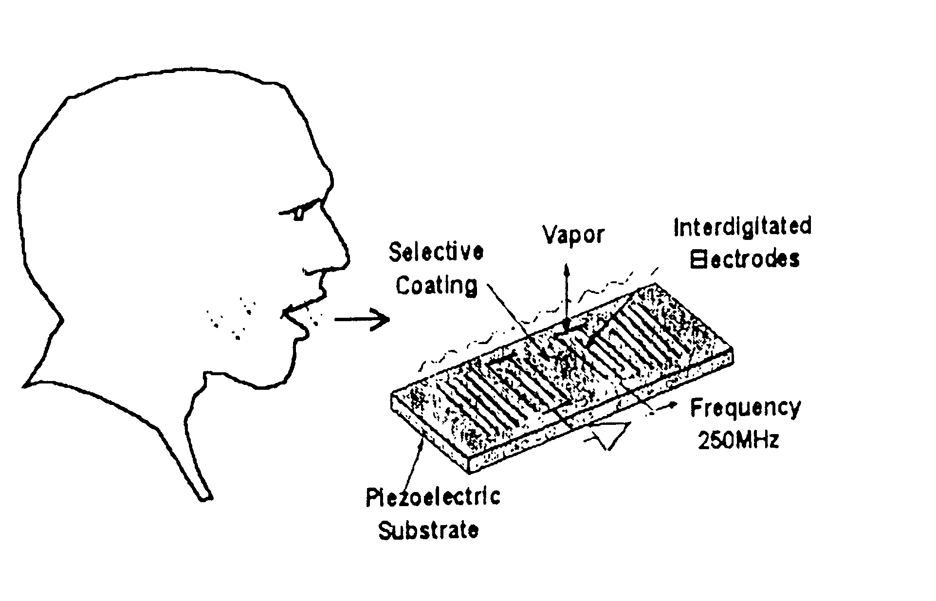 Method and apparatus for detecting environmental smoke exposure