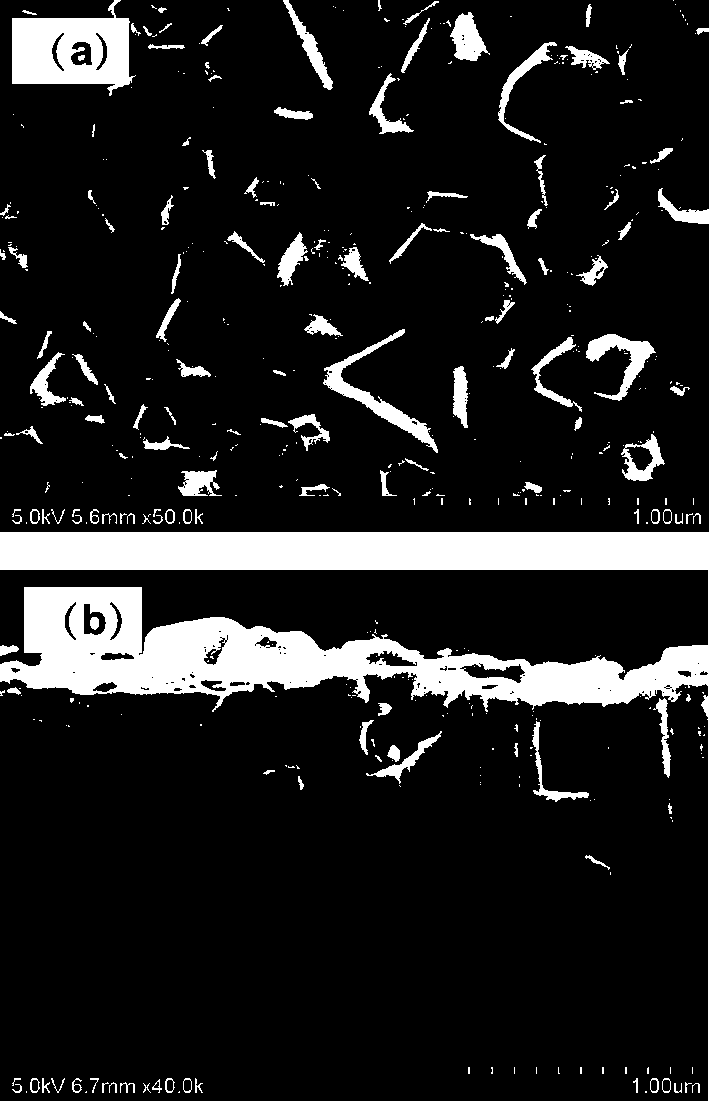 Preparation of columnar granular copper zinc cadmium sulfur (CZCTSSe) thin-film absorption layer and application of layer in solar cell