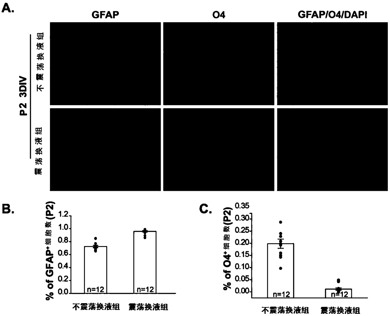 Culture medium for culturing astroglia cells in vitro and culture method