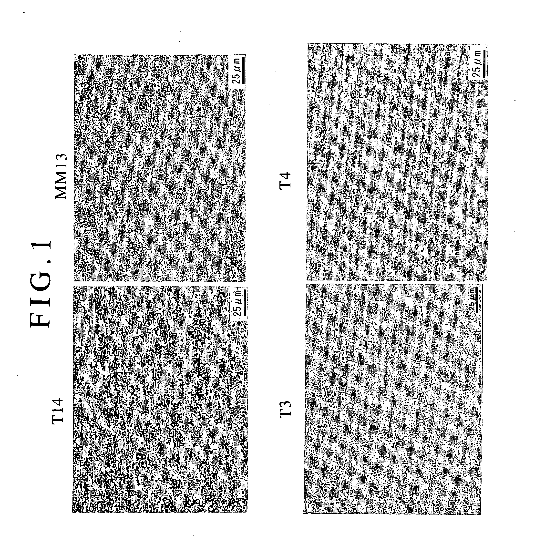 Method for producing dispersed oxide reinforced ferritic steel having coarse grain structure and being excellent in high temperature creep strength