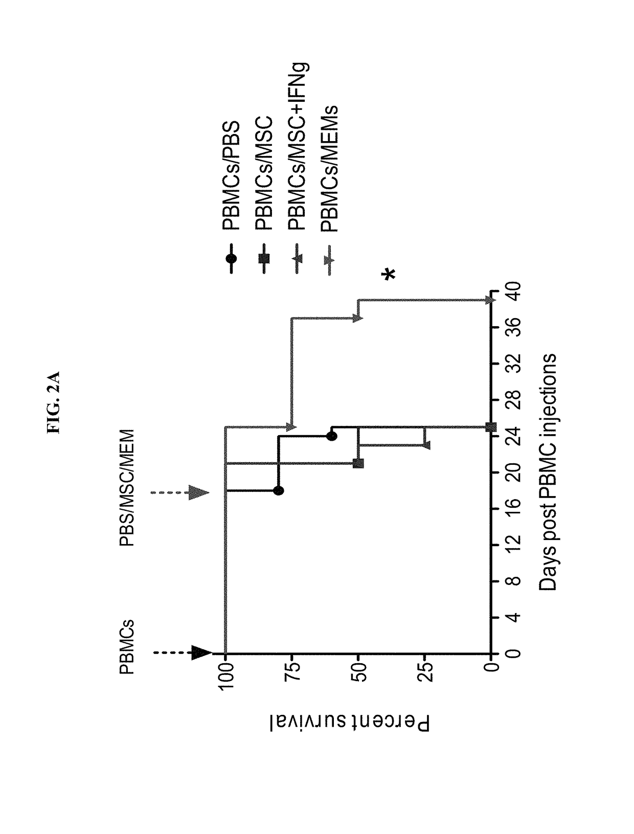 Use of mesenchymal stem cell-educated macrophages to treat and prevent graft versus host disease and radiation-induced injury