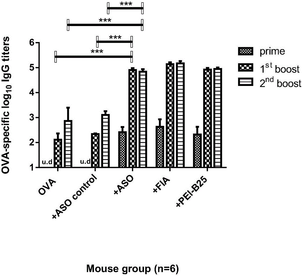 Antisense oligodeoxynucleotide and application thereof