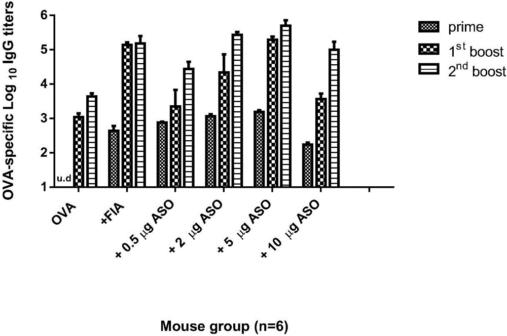 Antisense oligodeoxynucleotide and application thereof