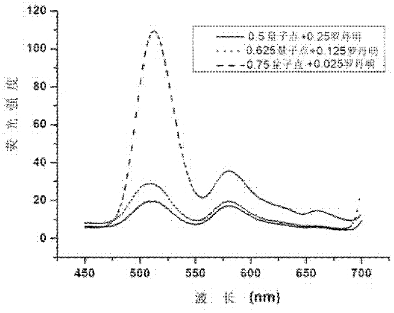 An inorganic fluorescent quantum dot-rhodamine composite bulk temperature-sensitive hydrogel