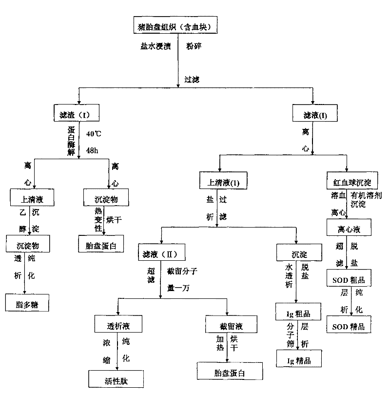 Co-production process for extracting multiple bioactive substances from pig placenta