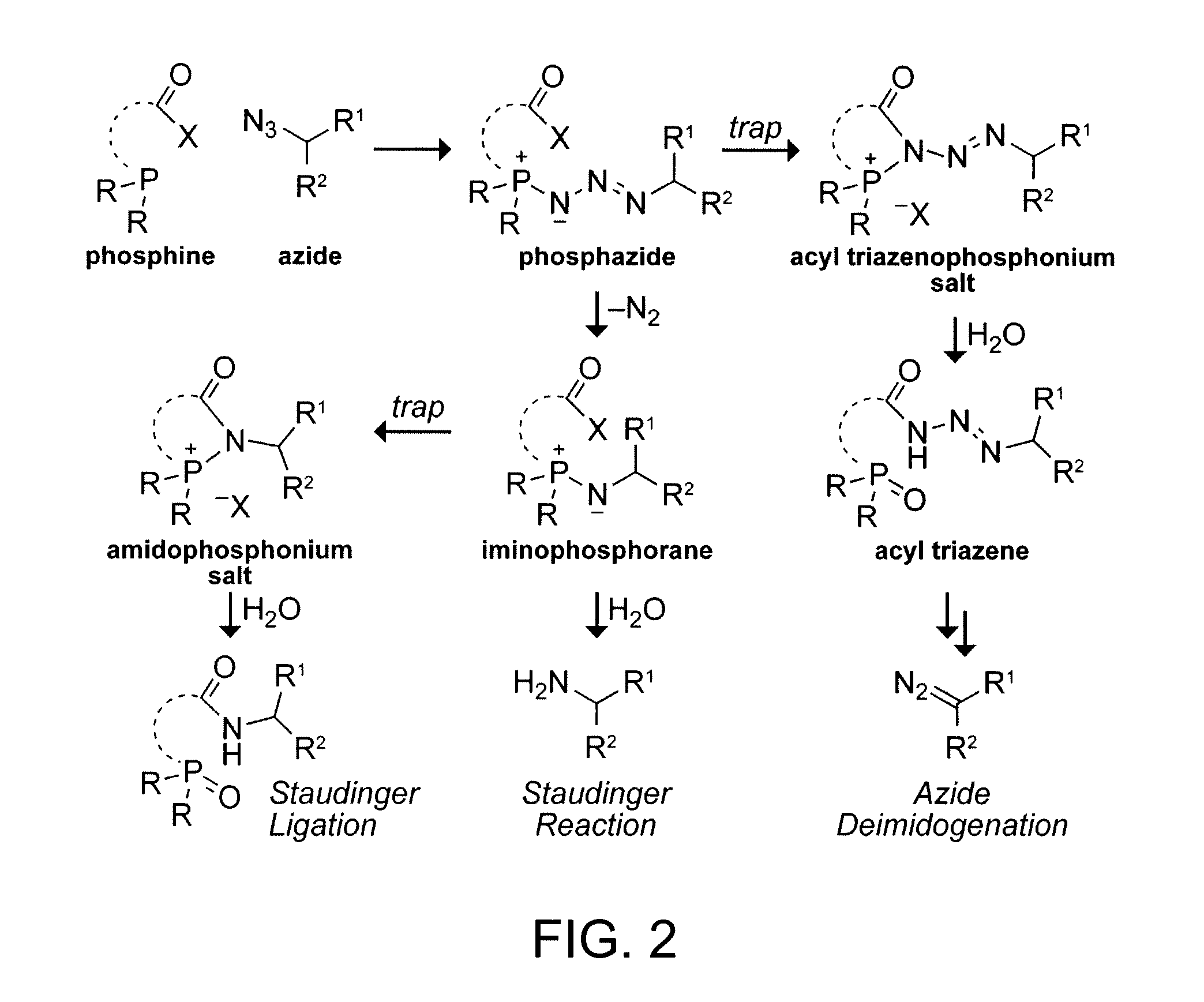 Preparation of diazo and diazonium compounds