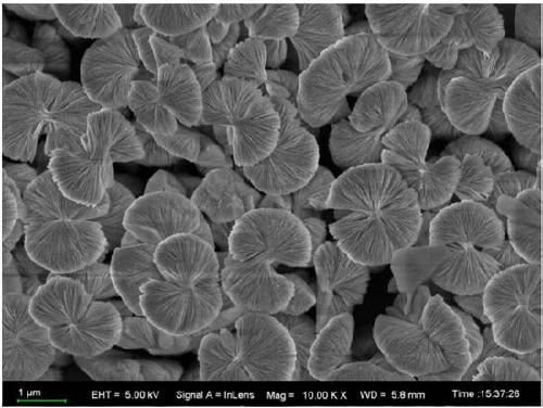 Preparation method of honeycomb sandwich structure wave-absorbing composite filled with bowknot-shaped Co/C nano wave-absorbing material