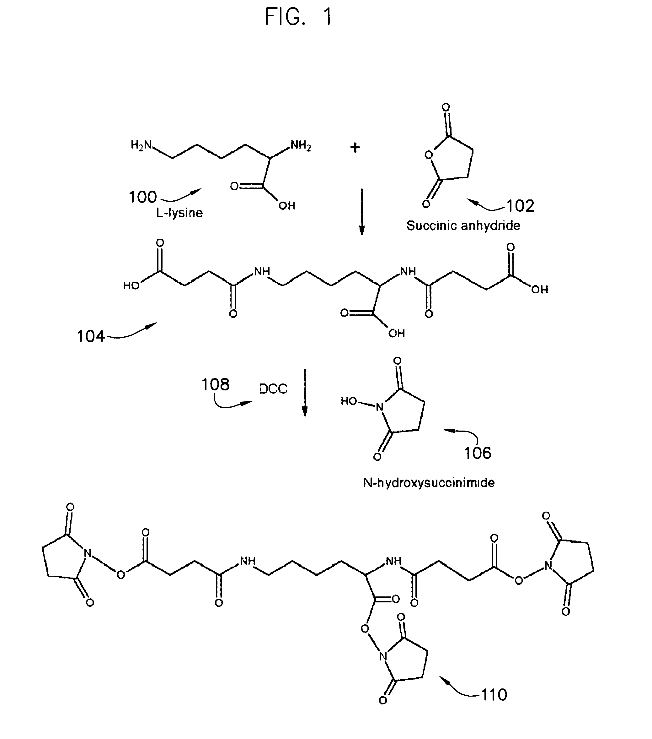 Protein crosslinkers, crosslinking methods and applications thereof