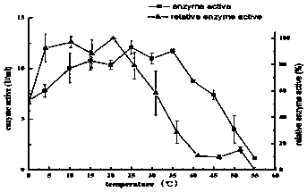 Marine low-temperature glucose oxidase and application thereof to preservation of sea product
