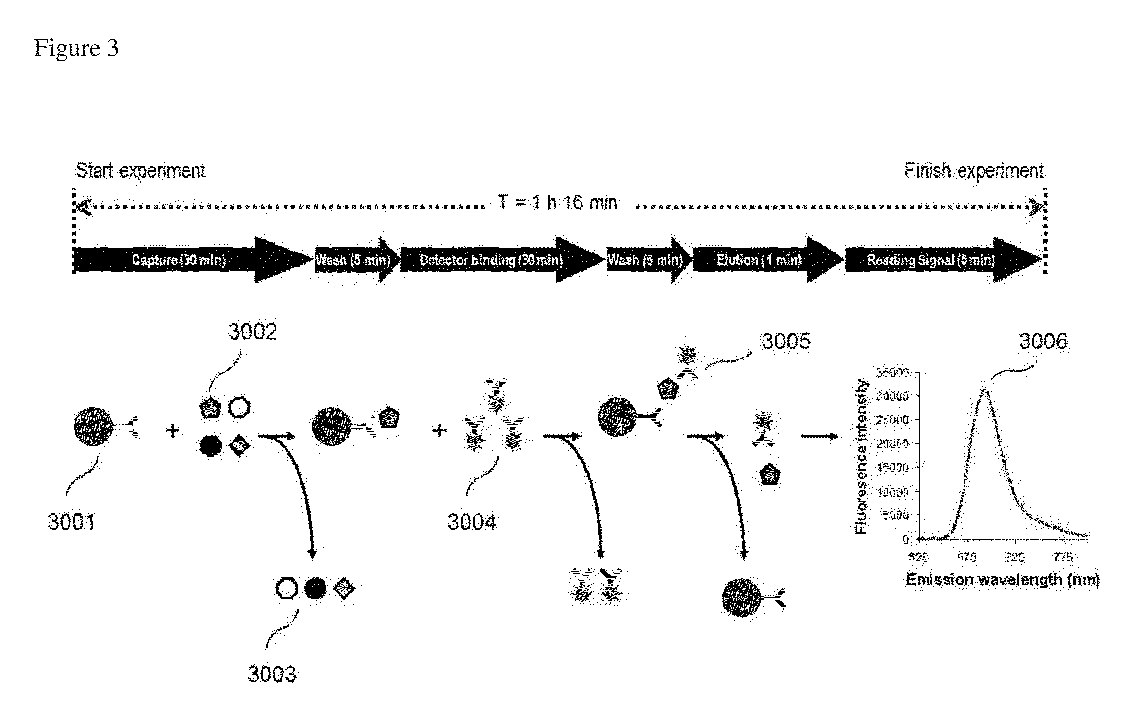 Zap-70 detection in chronic lymphocytic leukemia