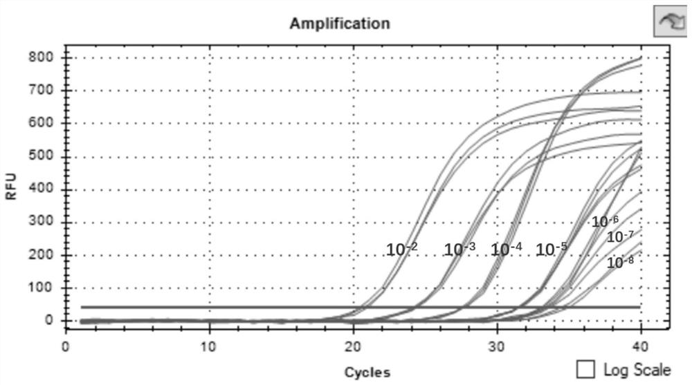 Detection method for identifying amycolatopsis