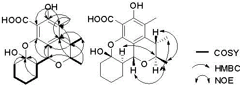 Citrinin compound penicitrinol M derived from Penicillium citrinum, preparation method and application of citrinin compound penicitrinol M