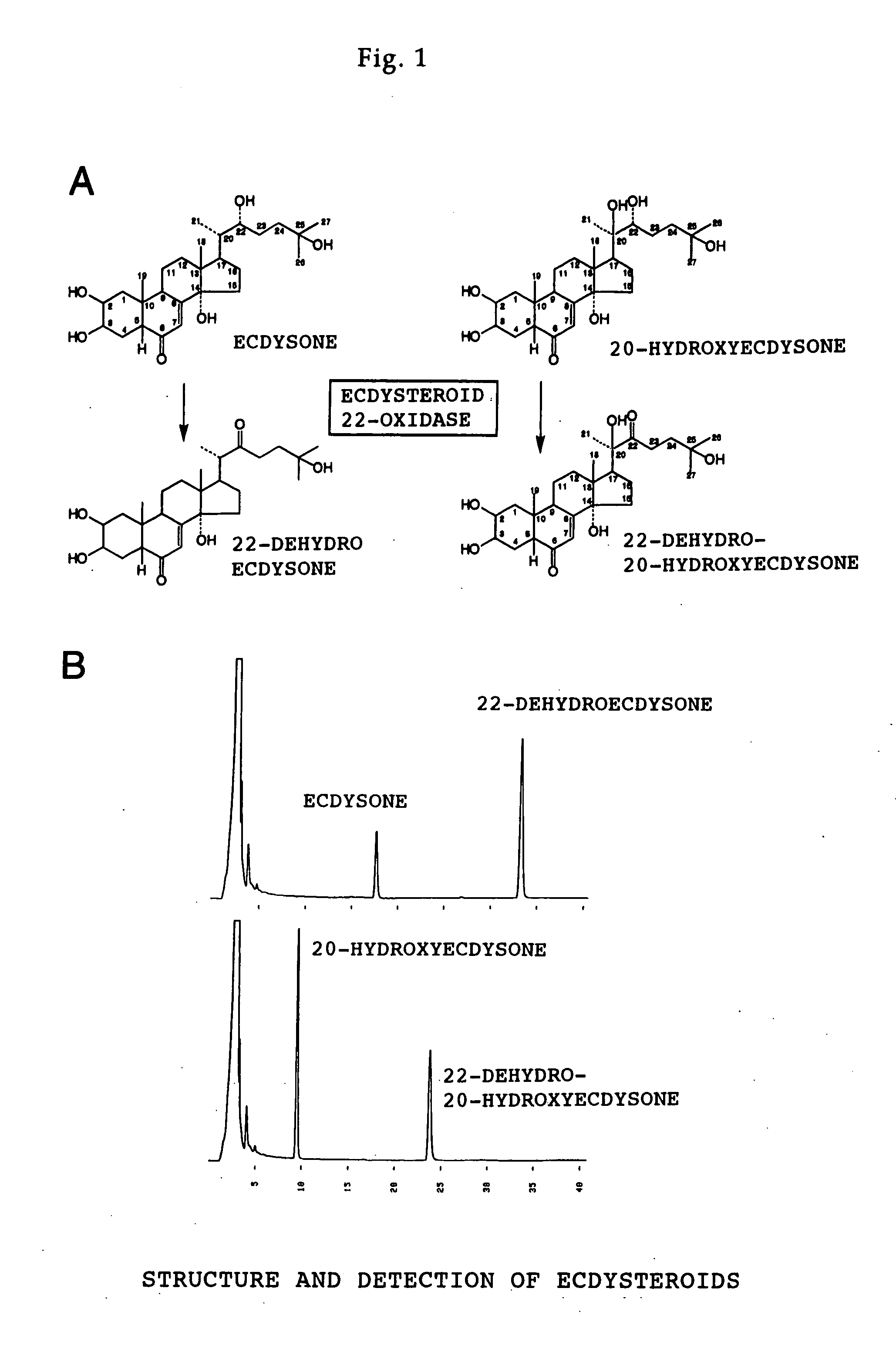 &#x3c;I&gt;Nomuraeae rileyi&#x3c;/I&gt;-origin ecdysteroid 22-oxidase and molt hormone inactivation system with the use of the same