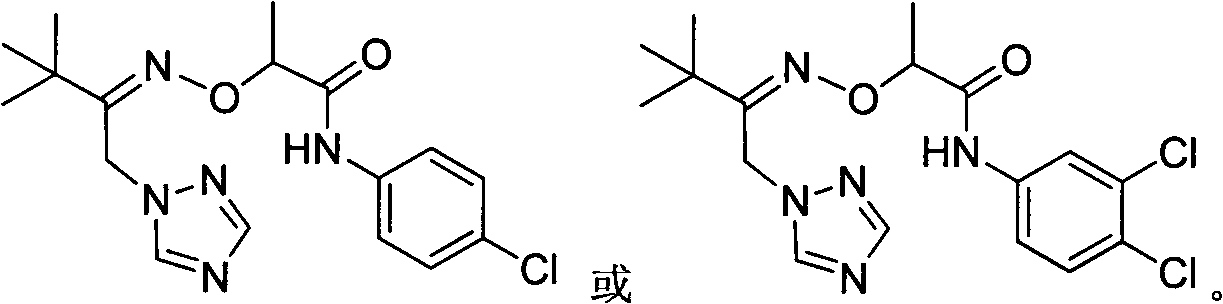 1-(1,2,4-Triazolyl) Ketoxime Ether Amide and Its Application