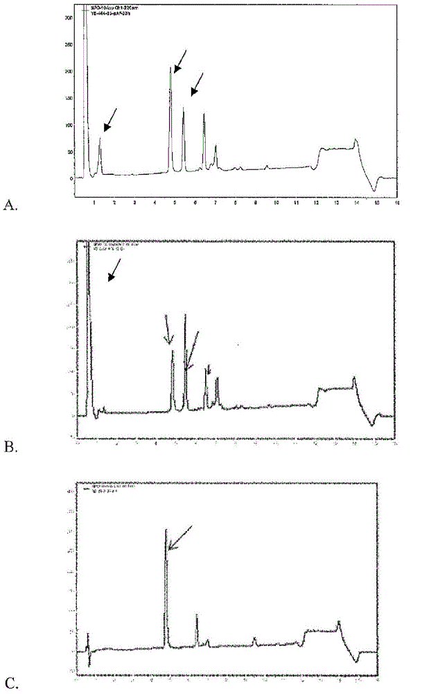 Anti-psma antibodies conjugated to nuclear receptor ligand polypeptides