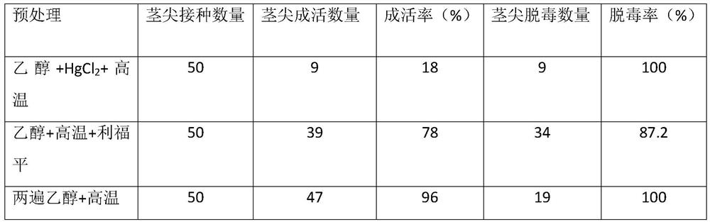 A kind of method of ginger tissue culture