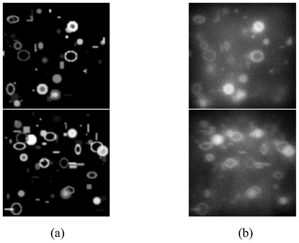 Microscope deconvolution neural network model construction method based on Richardson-Lucy algorithm