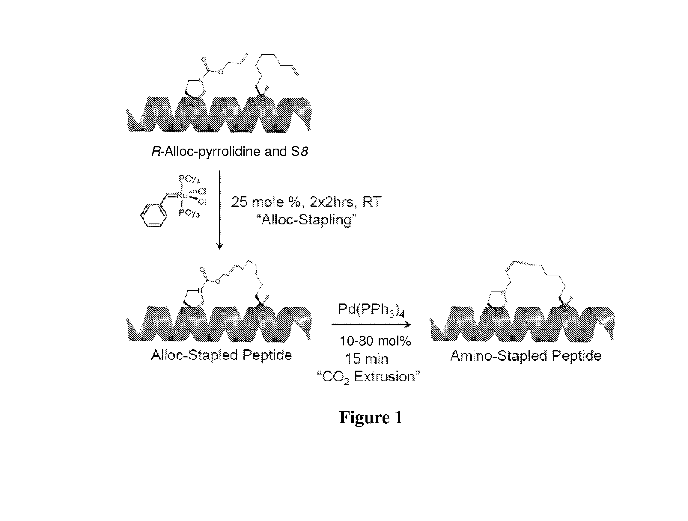 Stapled and stitched polypeptides and uses thereof