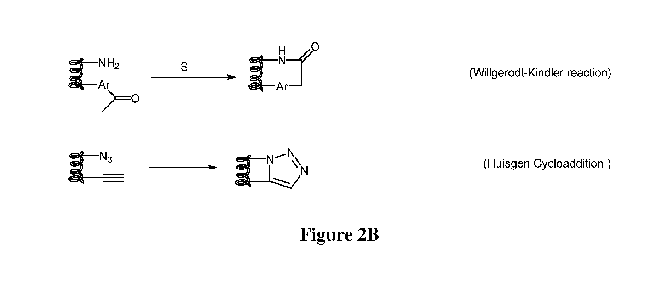 Stapled and stitched polypeptides and uses thereof