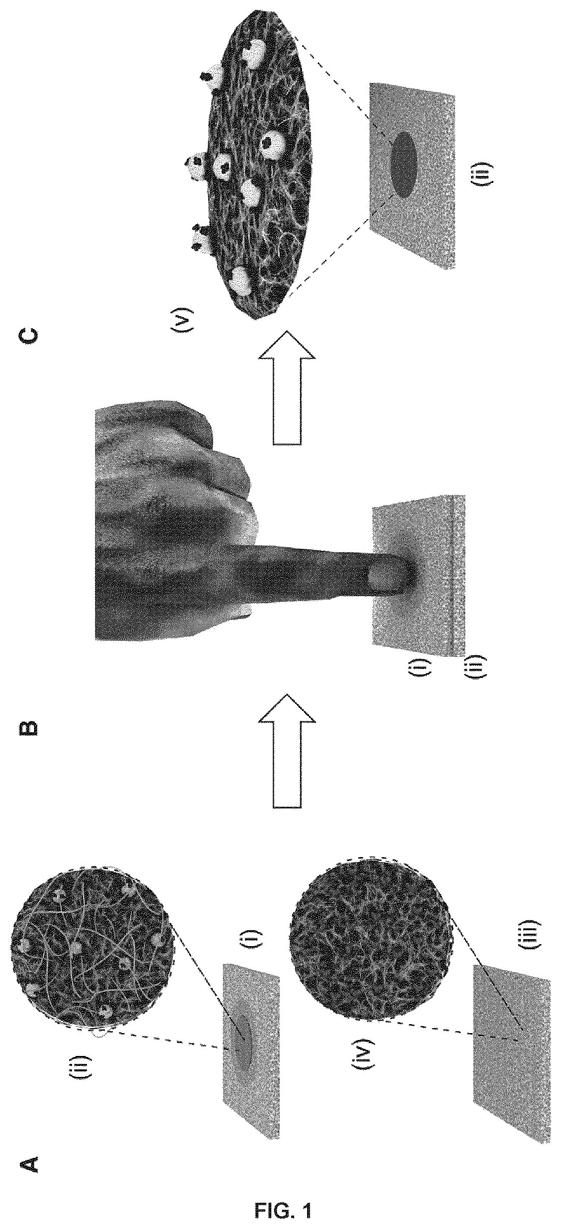 Process for storing and releasing protein-decorated nanoparticles on paper substrates