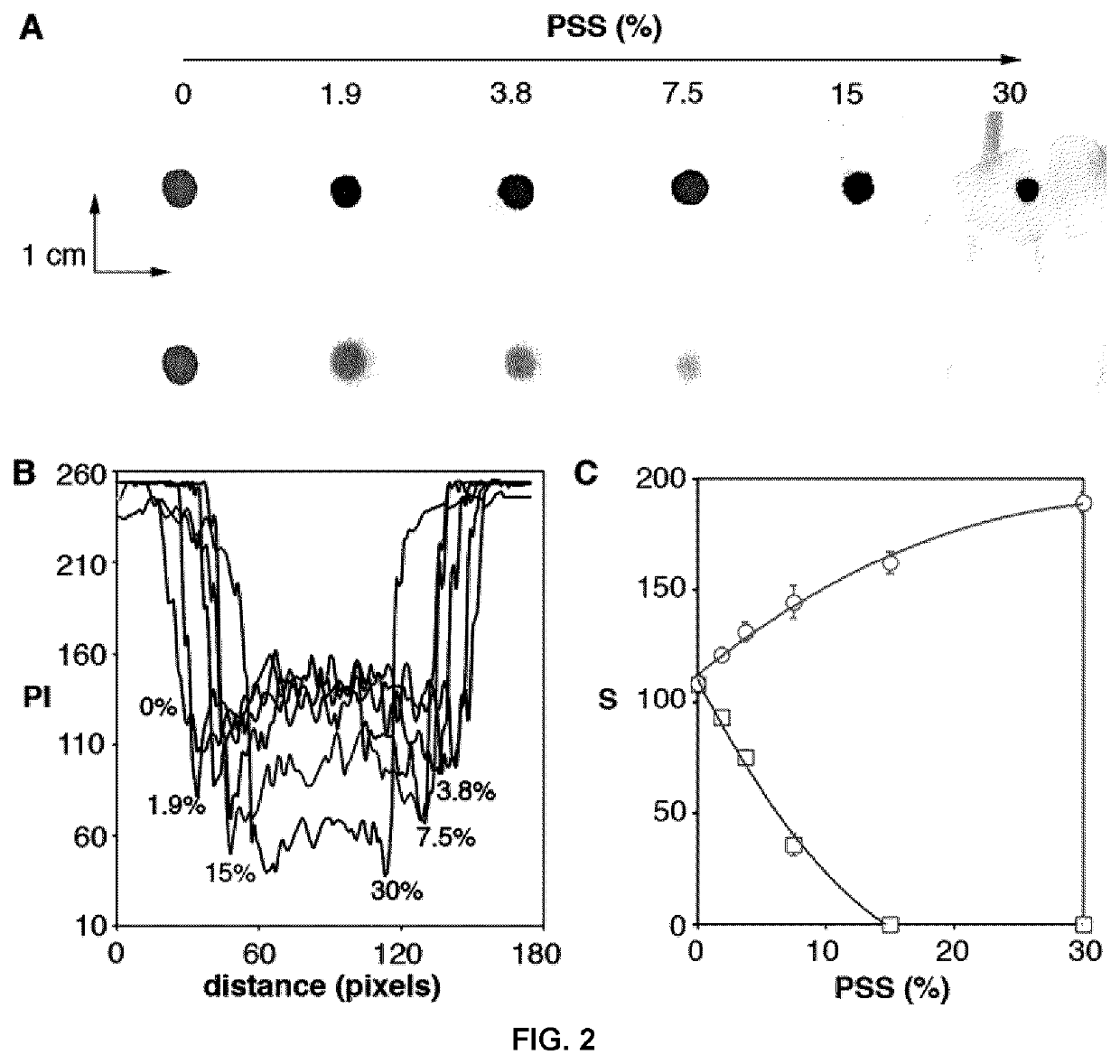 Process for storing and releasing protein-decorated nanoparticles on paper substrates