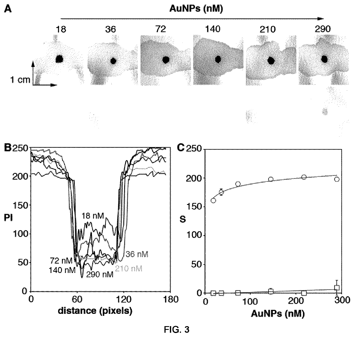 Process for storing and releasing protein-decorated nanoparticles on paper substrates