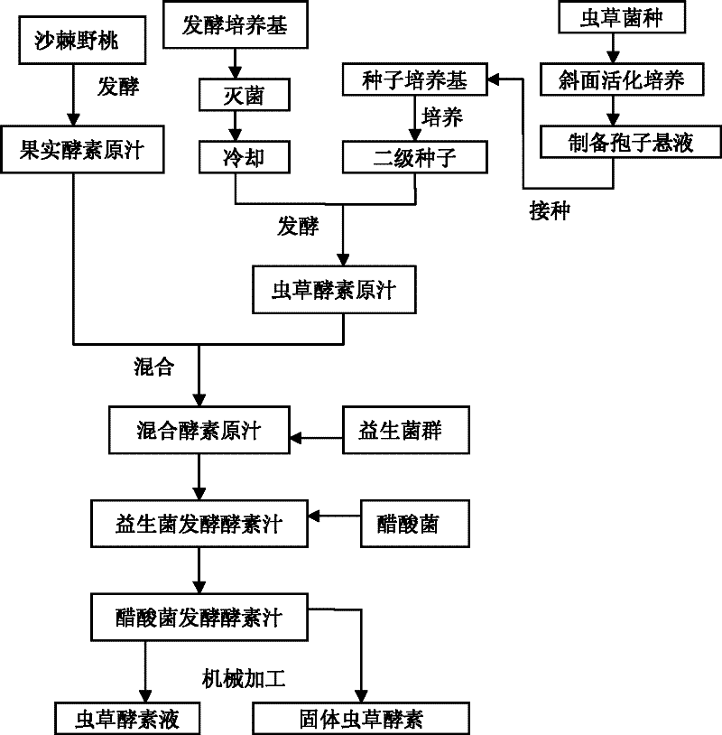 A kind of Cordyceps sinensis enzyme and preparation method thereof