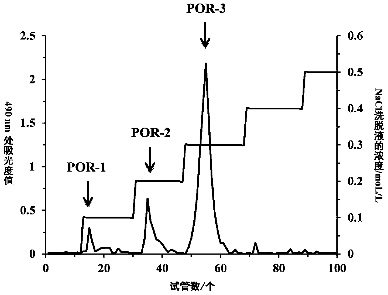 Wood frog oil polysaccharide component and application thereof