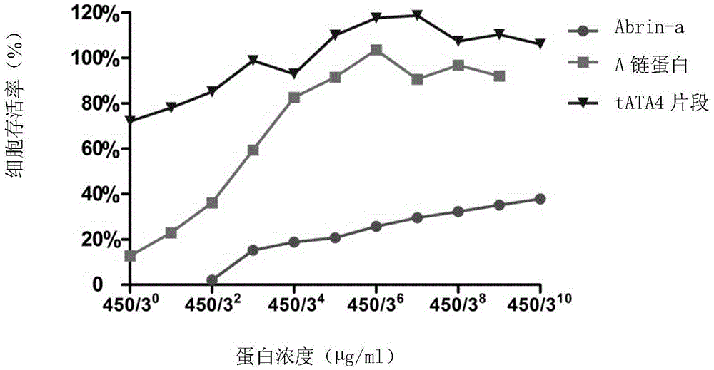 Truncated expression of abrin toxin a chain protein antigen and its application