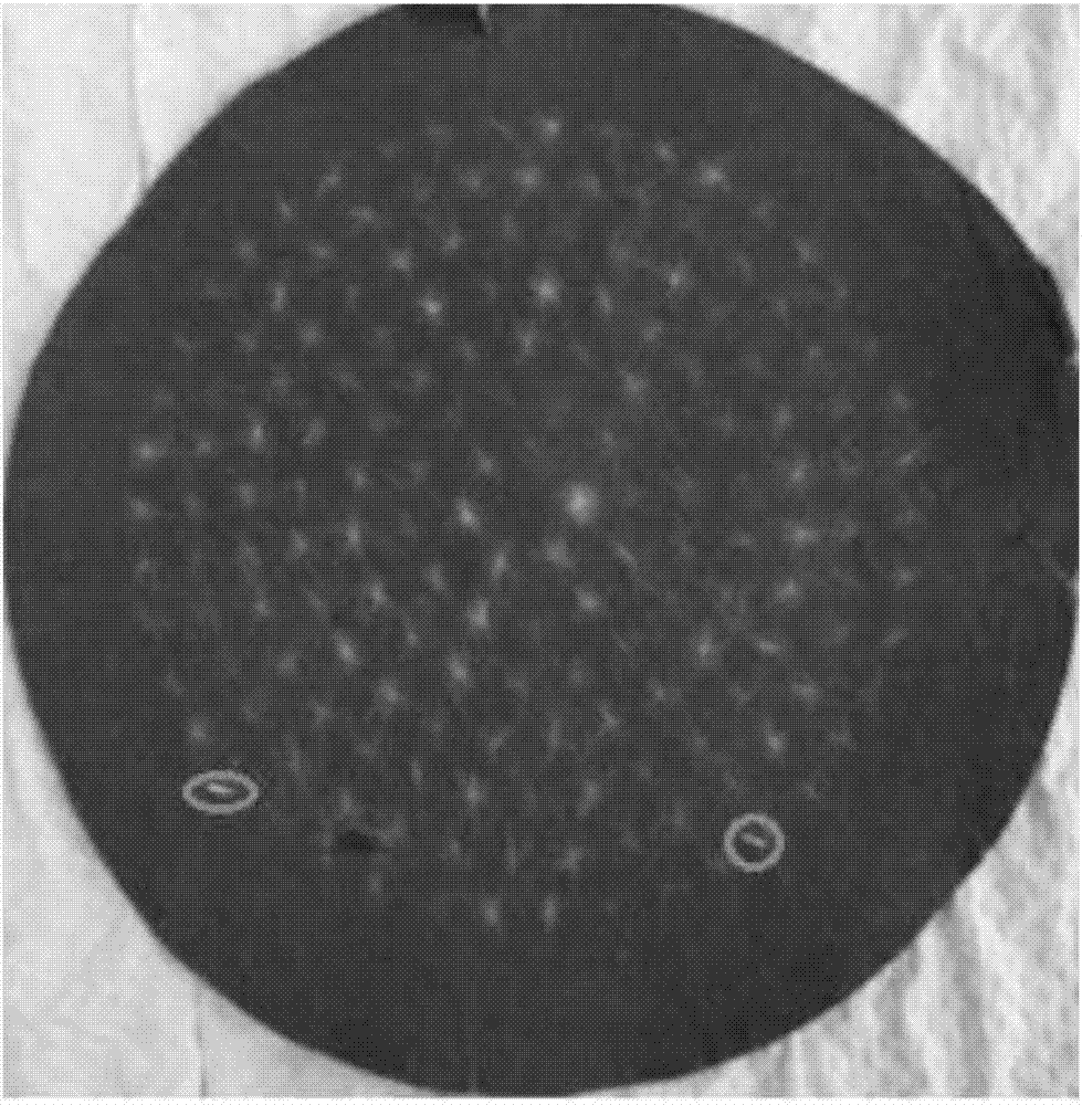 Determination method of adhesion number of carbon fiber precursors