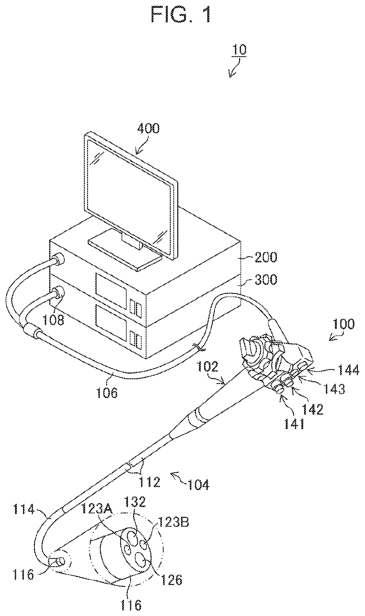 Image diagnosis assistance apparatus, endoscope system, image diagnosis assistance method , and image diagnosis assistance program